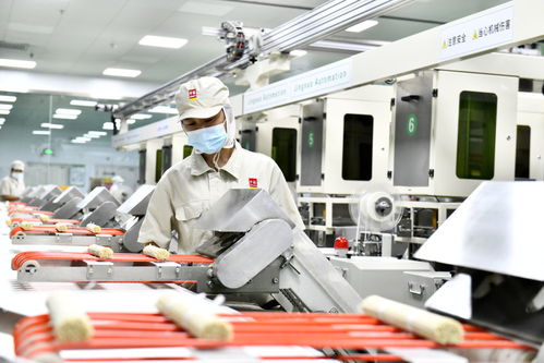 齊魯田間看春耕之變