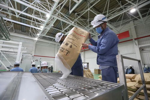 決戰,十二天建起一座廠